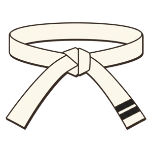 White belt with two stripes